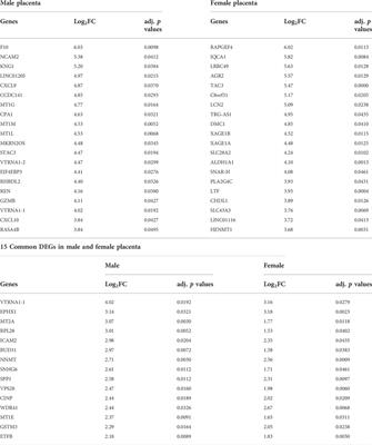 Transcriptomic analysis of the human placenta reveals trophoblast dysfunction and augmented Wnt signalling associated with <mark class="highlighted">spontaneous preterm birth</mark>